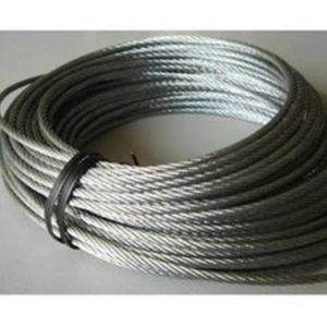 ؙC(j)䓽zKҊϷA(y)ʩ