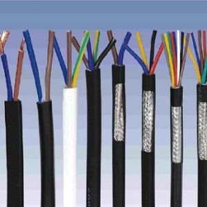 ||NеһNʲôǿ|